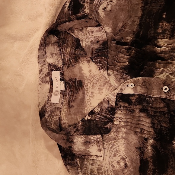 Cristina B sheer pleated front blouse - Picture 2 of 9